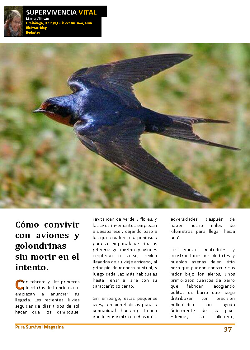 13-supervivencia-vital_pagina_1