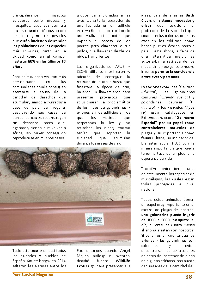 13-supervivencia-vital_pagina_2