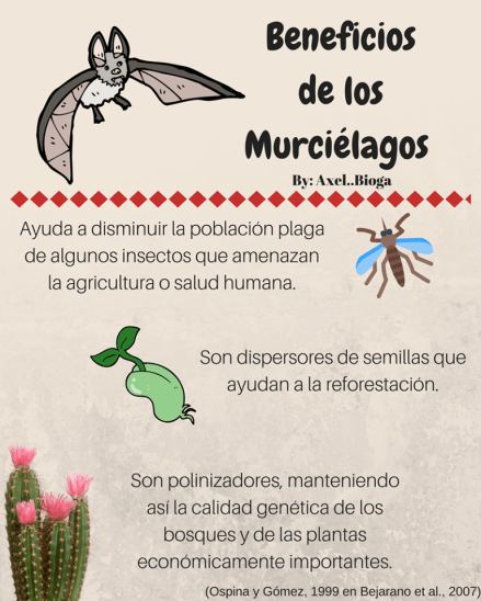 17523202_1256777821037947_7312512183749689452_n