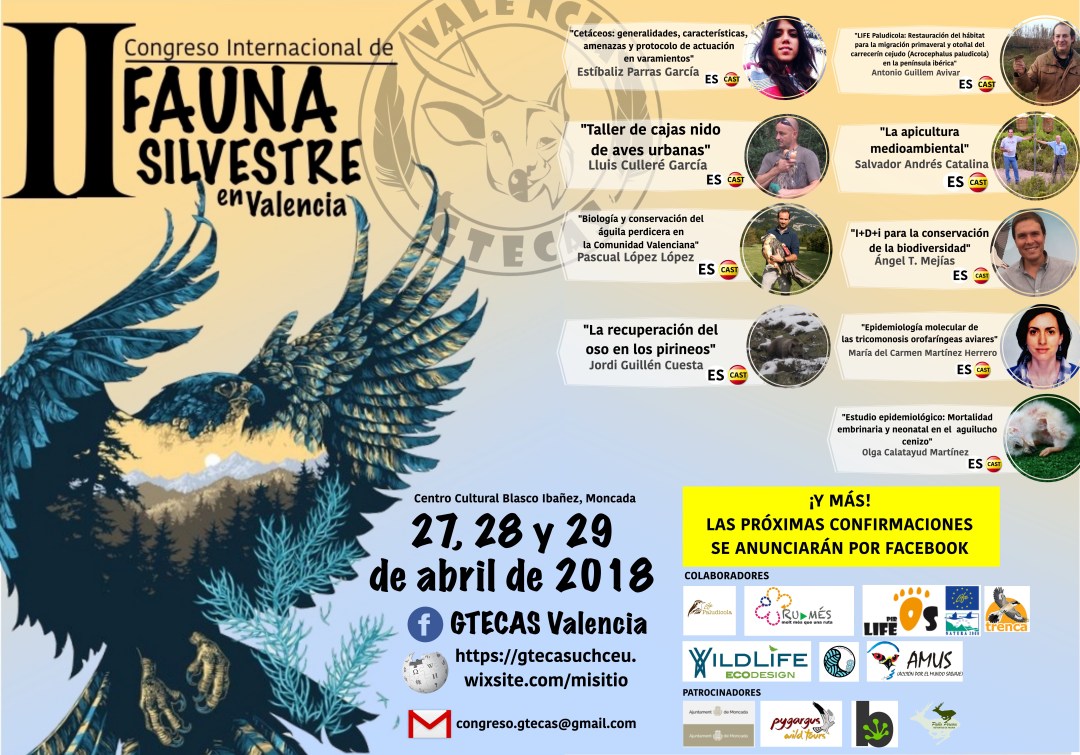 2º congreso GTECAS 2018