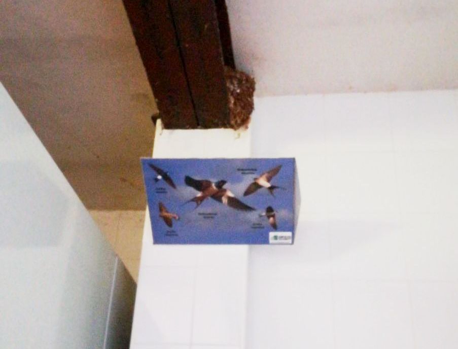 Bandeja BirdsClean- S