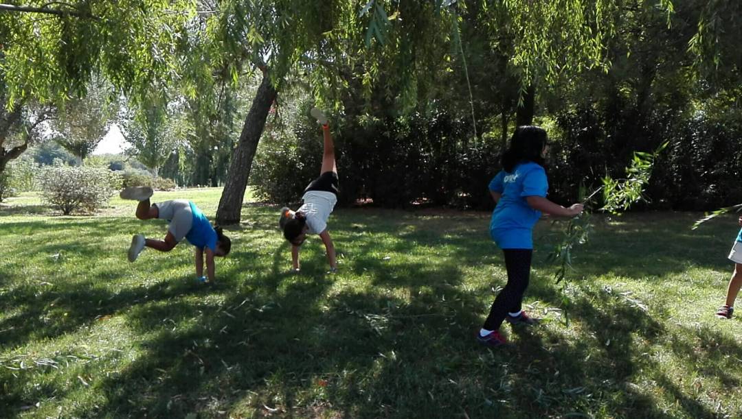 3b189e02-e038-44d1-80ec-88f68969164a