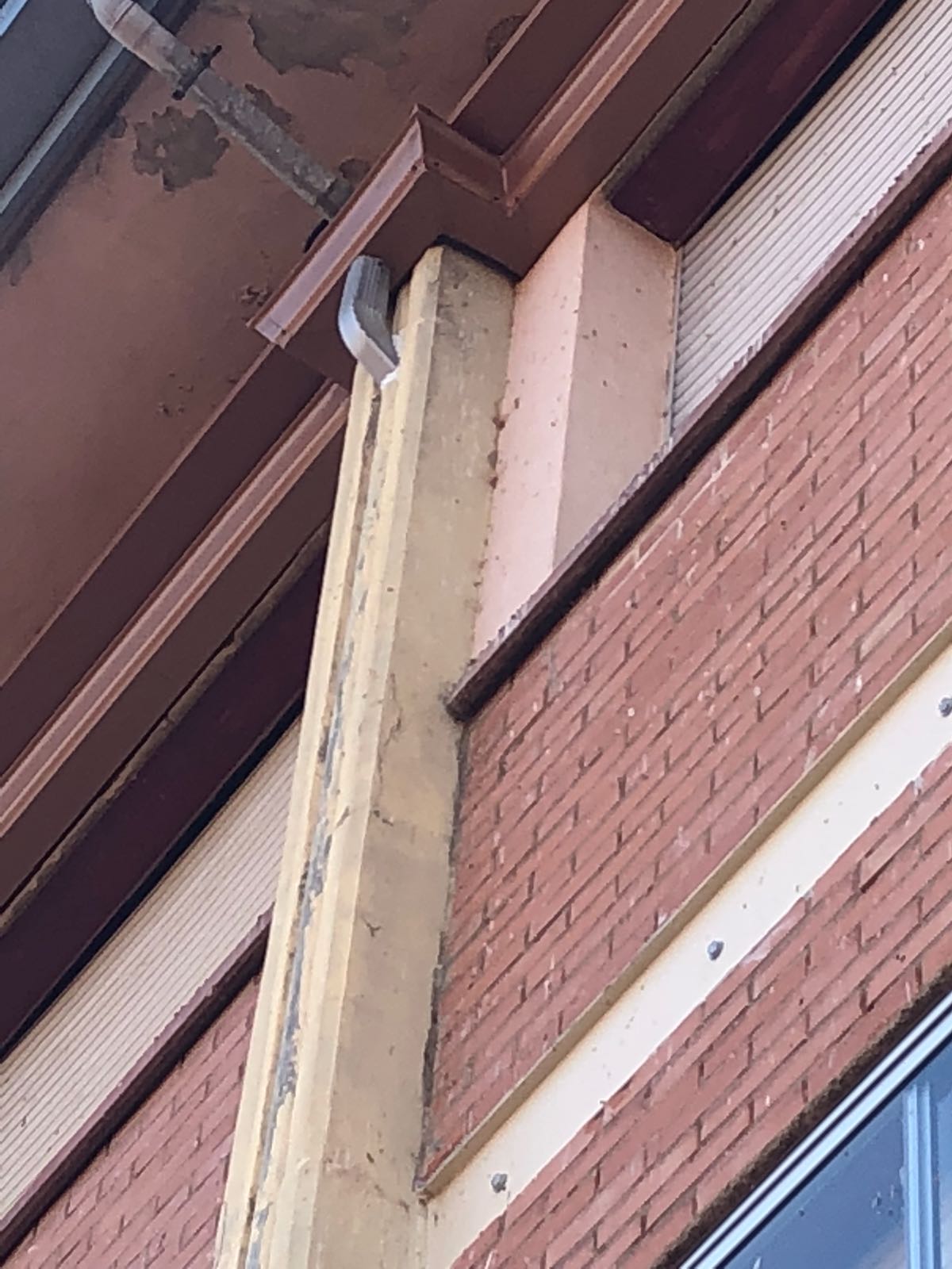 41059eeb-faf0-47c6-8c92-7fcced4dbae3