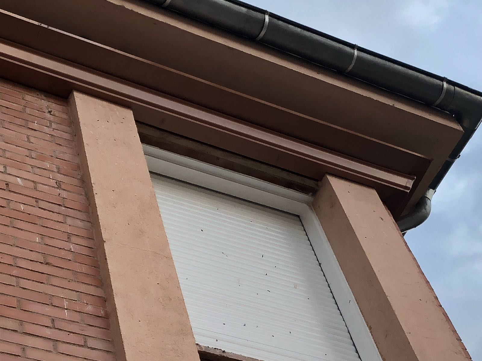 8d74517a-8480-4451-987d-403d6dd276a1