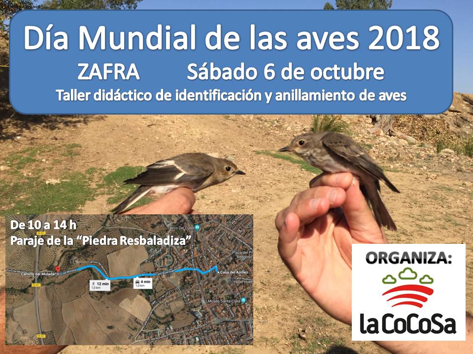 Cartel anillamiento Zafra