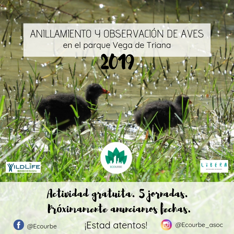 4a15ba12-a087-4422-9098-93c0ab968821