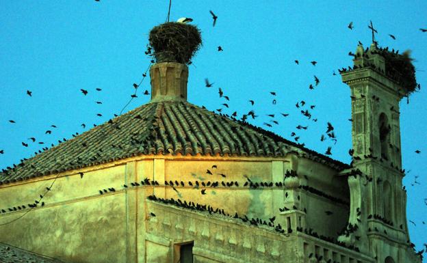 119179110-kMnH-U50273461323hVE-624x385@Hoy