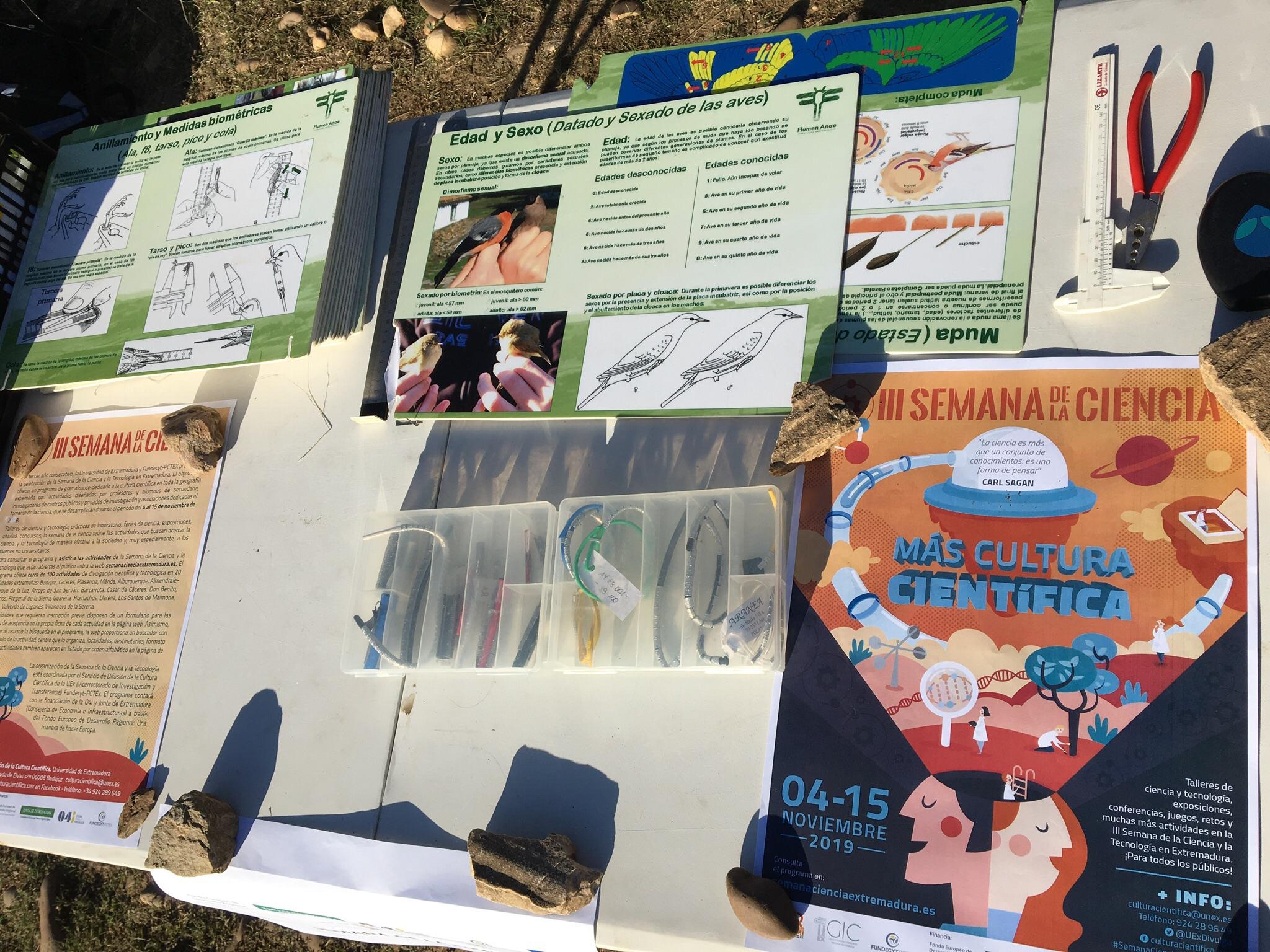 43ccb853-1c55-4624-8501-b4c41a565cfd